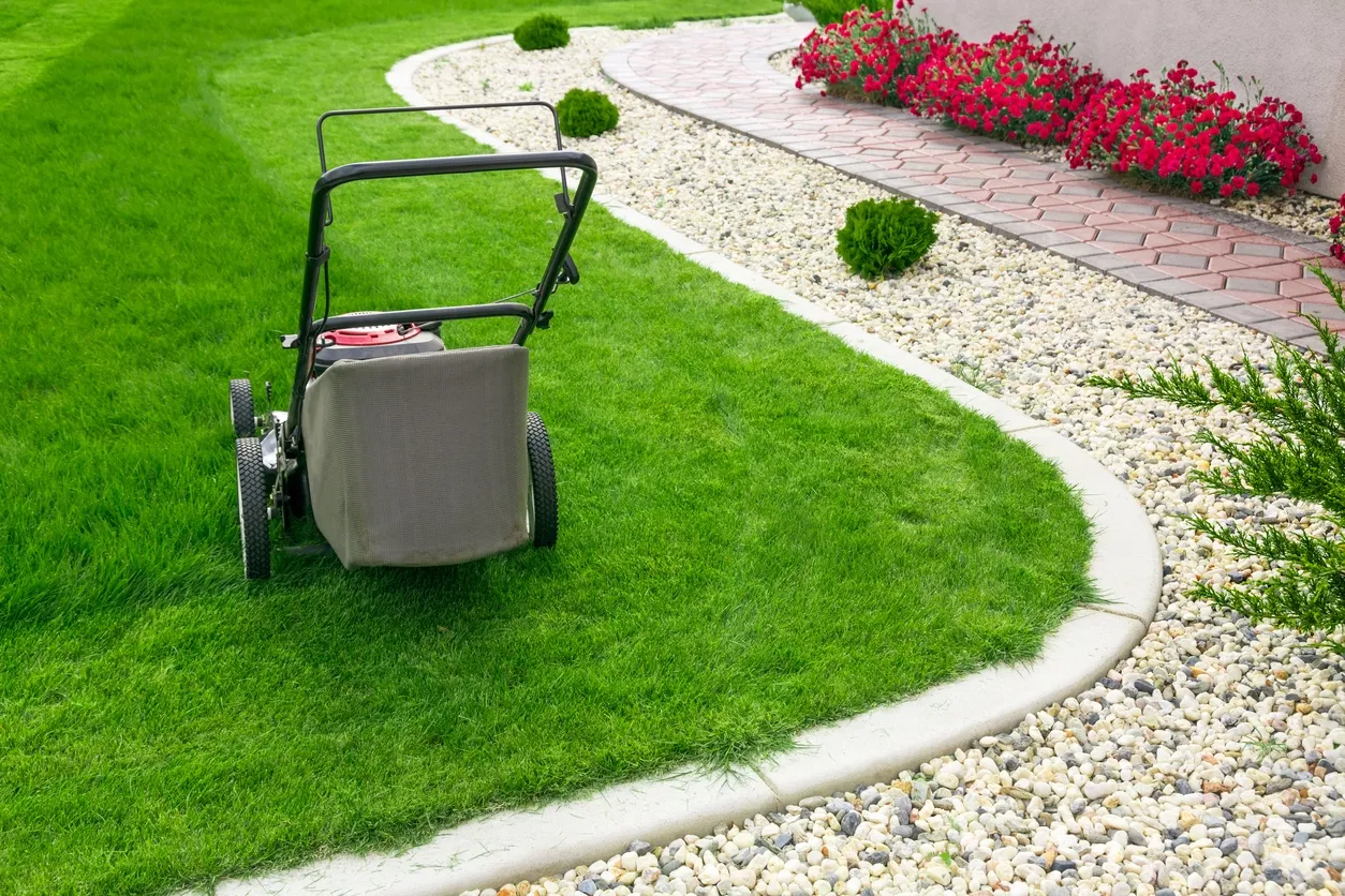 gardening, lawn mowing, grass cutting